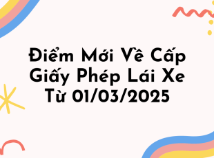 diem-moi-ve-cap-giay-phep-lai-xe-tu-01032025