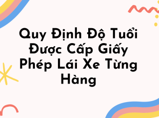 quy-dinh-do-tuoi-duoc-cap-giay-phep-lai-xe-tung-hang