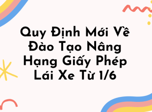 quy-dinh-moi-ve-dao-tao-nang-hang-giay-phep-lai-xe-tu-16