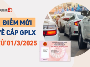 diem-moi-ve-cap-giay-phep-lai-xe-tu-01032025